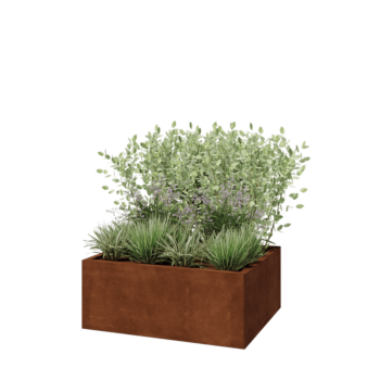 Corten steel planter - Rectangle - 100 x 80 x 40 cm - With bottom plate