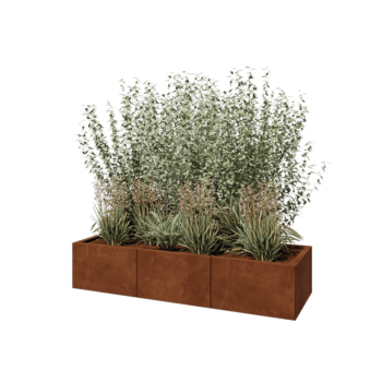 Corten steel planter XXL - Rectangle - 150 x 50 x 30 cm - With bottom plate