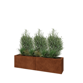 Corten steel planter XXL - Rectangle - 160 x 30 x 40 cm - Without bottom plate