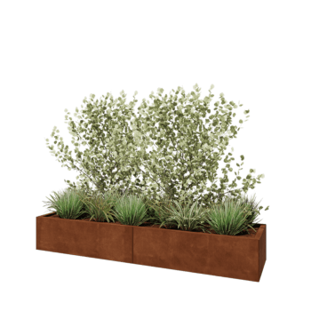 Corten steel planter XXL - Rectangle - 200 x 50 x 30 cm - Without bottom plate