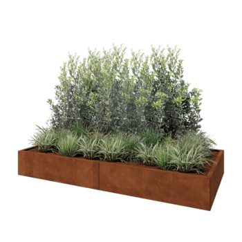 Corten steel planter XXL - Rectangle - 240 x 100 x 30 cm - Without bottom plate
