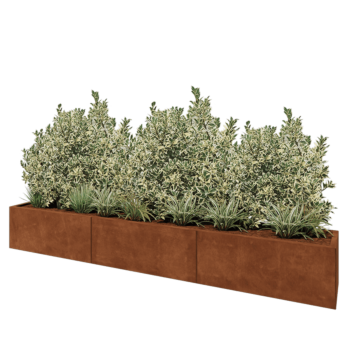 Corten steel planter XXL - Rectangle - 300 x 40 x 40 cm - Without bottom plate