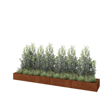 Corten steel planter XXL - Rectangle - 400 x 60 x 30 cm - Without bottom plate