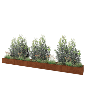 Corten steel planter XXL - Rectangle - 500 x 50 x 30 cm - Without bottom plate