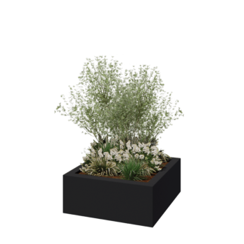 Fibreglass planter - Square - 100 x 100 x 40 cm - RAL7021 matt (black grey) - With bottom