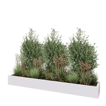 Fibreglass planter - Rectangle - 200 x 30 x 20 cm - RAL9010 matt (white) - With bottom