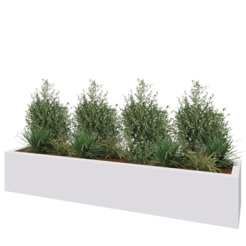 Fibreglass planter - Rectangle - 230 x 50 x 40 cm - RAL9010 matt (white) - With bottom