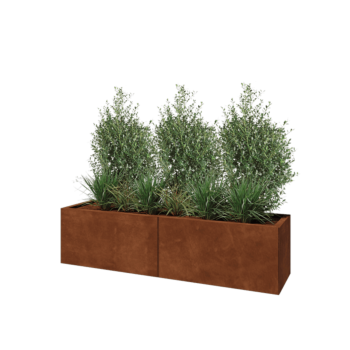 Corten steel planter XXL - Rectangle - 160 x 40 x 40 cm - Without bottom plate