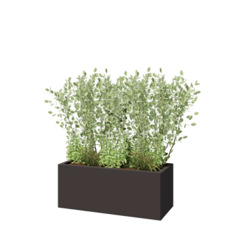 Steel planter - Rectangle - 100 x 40 x 40 cm - RAL7016 matt (anthracite grey) - Without bottom plate