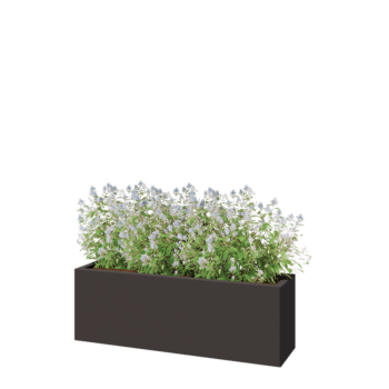 Steel planter - Rectangle - 120 x 30 x 40 cm - RAL7016 matt (anthracite grey) - With bottom plate