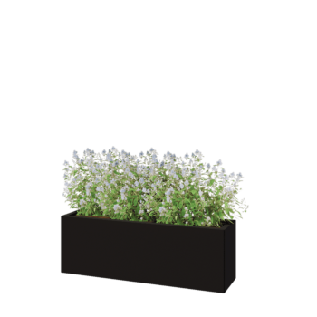 Steel planter - Rectangle - 120 x 30 x 40 cm - RAL9005 matt (black) - With bottom plate