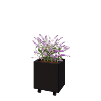 Steel planter - Rectangle - 40 x 30 x 40 cm - RAL9005 matt (black) - With bottom plate - With wheels