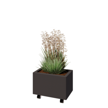 Steel planter - Rectangle - 50 x 30 x 30 cm - RAL7016 matt (anthracite grey) - With bottom plate - With wheels