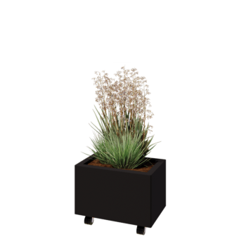 Steel planter - Rectangle - 50 x 30 x 30 cm - RAL9005 matt (black) - With bottom plate - With wheels