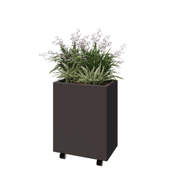 Steel planter - Rectangle - 50 x 30 x 60 cm - RAL7016 matt (anthracite grey) - With bottom plate - With wheels