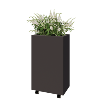 Steel planter - Rectangle - 50 x 30 x 80 cm - RAL7016 matt (anthracite grey) - With bottom plate - With wheels
