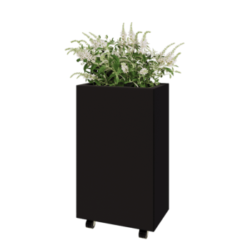 Steel planter - Rectangle - 50 x 30 x 80 cm - RAL9005 matt (black) - With bottom plate - With wheels