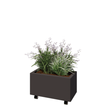Steel planter - Rectangle - 60 x 30 x 30 cm - RAL7016 matt (anthracite grey) - With bottom plate - With wheels