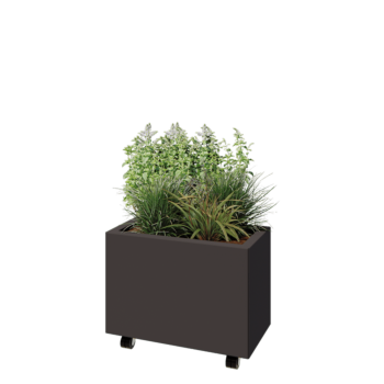 Steel planter - Rectangle - 60 x 30 x 40 cm - RAL7016 matt (anthracite grey) - With bottom plate - With wheels