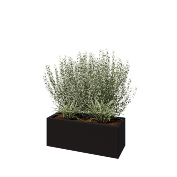 Steel planter - Rectangle - 80 x 30 x 30 cm - RAL9005 matt (black) - Without bottom plate