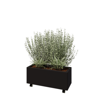 Steel planter - Rectangle - 80 x 30 x 30 cm - RAL9005 matt (black) - With bottom plate - With wheels