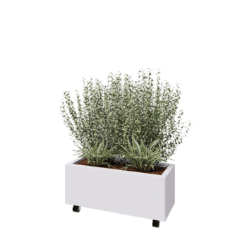 Steel planter - Rectangle - 80 x 30 x 30 cm - RAL9005 matt (white) - With bottom plate - With wheels