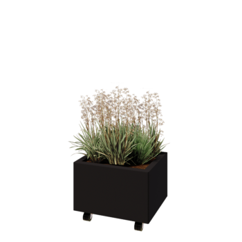 Steel planter - Rectangle - 50 x 40 x 30 cm - RAL9005 matt (black) - With bottom plate - With wheels