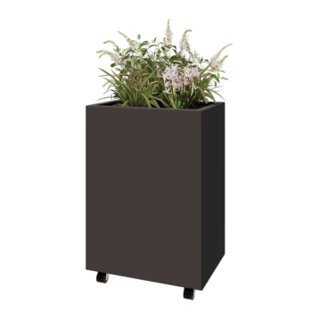 Steel planter - Rectangle - 60 x 40 x 80 cm - Other RAL colour - With bottom plate - With wheels