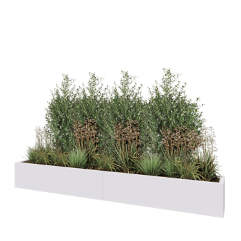 Steel planter XXL - Rectangle - 240 x 30 x 30 cm - RAL9005 matt (white) - Without bottom plate