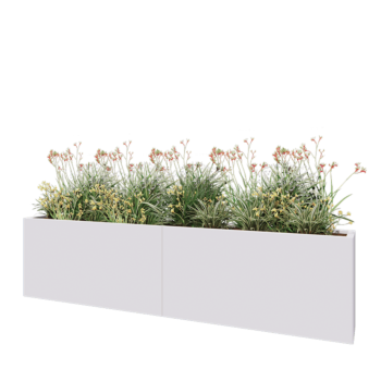 Steel planter XXL - Rectangle - 240 x 30 x 60 cm - RAL9005 matt (white) - Without bottom plate