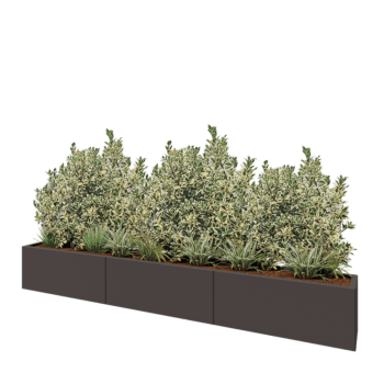 Steel planter XXL - Rectangle - 300 x 30 x 40 cm - RAL7016 matt (anthracite grey) - Without bottom plate