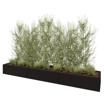 Steel planter XXL - Rectangle - 300 x 50 x 30 cm - RAL9005 matt (black) - Without bottom plate