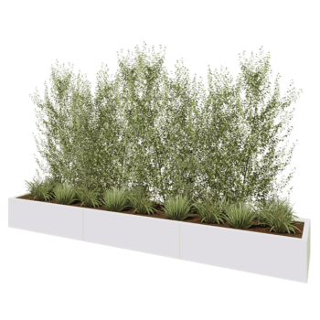 Steel planter XXL - Rectangle - 300 x 50 x 30 cm - RAL9005 matt (white) - Without bottom plate