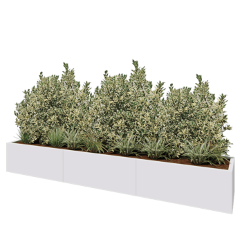 Steel planter XXL - Rectangle - 300 x 50 x 40 cm - RAL9005 matt (white) - Without bottom plate