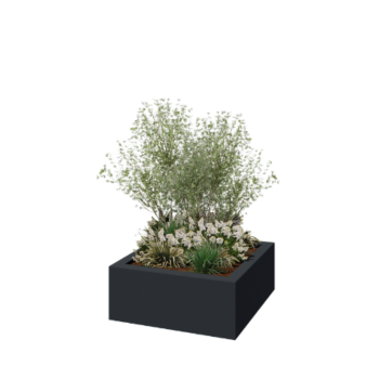 Fibreglass planter - Square - 100 x 100 x 40 cm - RAL7021 matt (black grey) - With bottom