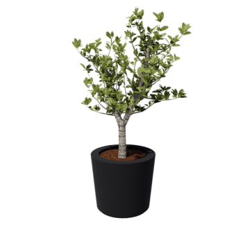 Fibreglass planter - Cone - Ø 63 x 52 cm - RAL7021 matt (black grey) - With bottom