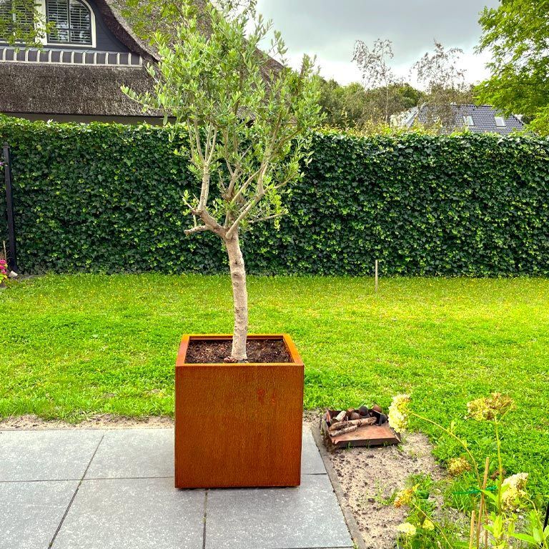 Corten steel planter Miami 60 x 60 cm
