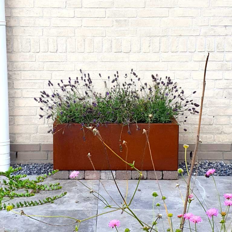 Corten steel planter Texas 30 x 80 cm
