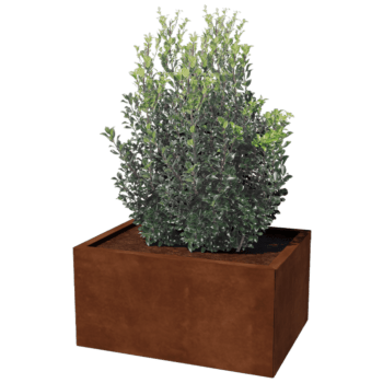 Corten steel planter Texas 60 x 80 cm