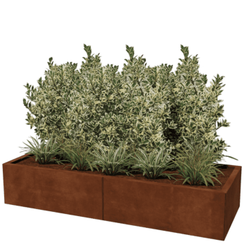 Corten steel planter Texas xxl 160 x 60 cm