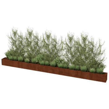 Corten steel planter Texas xxl 500 x 30 cm