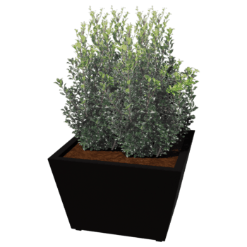 Powder coated welded planters Cone 80 x 80 x 50 cm
