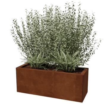 Corten steel planter - Rectangle - 30 x 80 cm