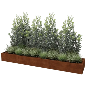 Corten steel planter XXL - Rectangle - 300 x 60 cm