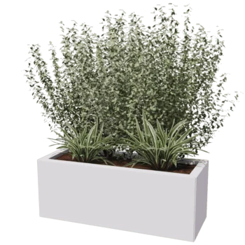 Steel planter - Rectangle - 30 x 80 cm