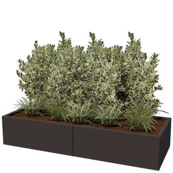 Steel planter XXL - Rectangle - 160 x 60 x 30 cm - Other RAL colour - With bottom plate