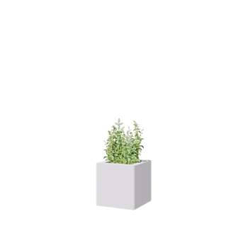 Steel planter - Square - 30 x 30 x 30 cm - RAL9005 matt (white) - Without bottom plate