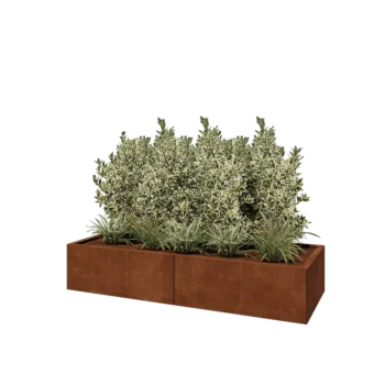 Corten steel planter XXL - Rectangle - 160 x 60 x 30 cm - With bottom plate