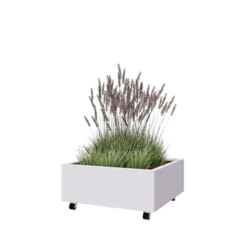 Steel planter - Square - 80 x 80 x 30 cm - RAL9005 matt (white) - With bottom plate - With wheels