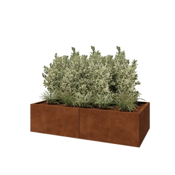 Corten steel planter XXL - Rectangle - 160 x 80 x 40 cm - With bottom plate